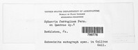 Image Associated With the Occurence